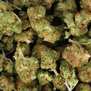 SMALL BUD WHITE WIDOW Indoor