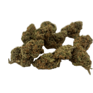 Blueberry Cookies Indoor premium Small / Middle Buds