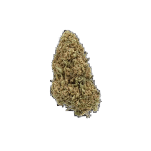 ORANGE BUD GREENHOUSE