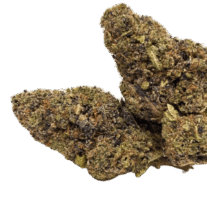 Snow Og – Indoor Premium ++